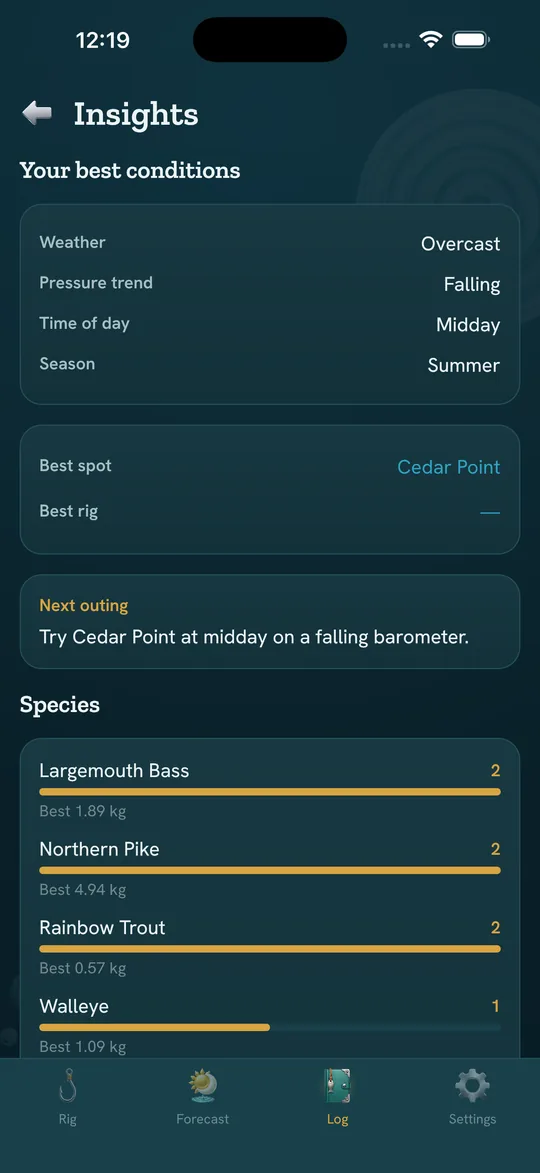 Chicken Road screen: Insights